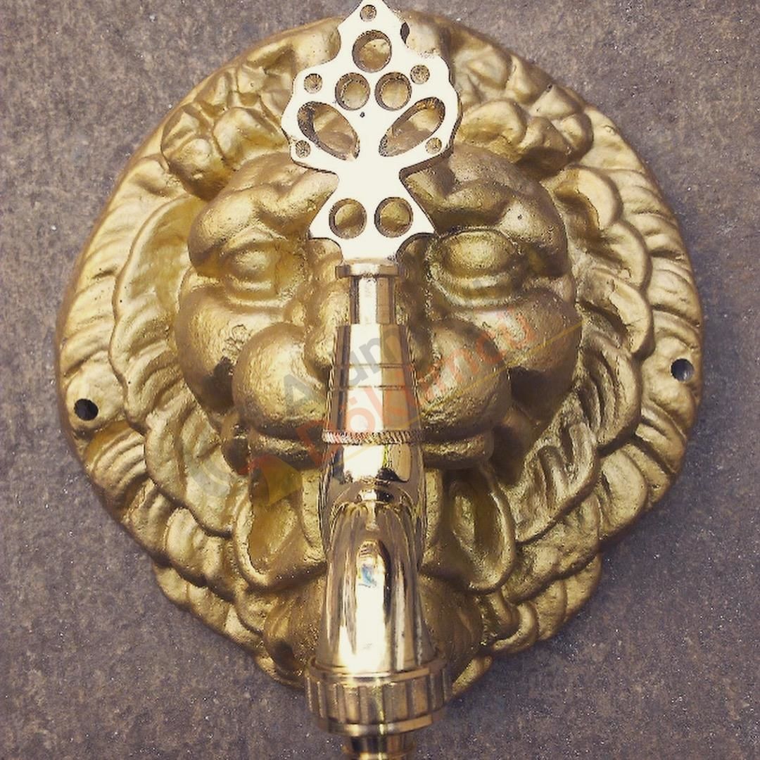 DÖKÜM ASLAN 25 ÇAP