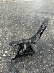 Kartal-biblo kanatlı aksesuar kartallar