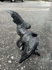 Kartal-biblo kanatlı aksesuar kartallar