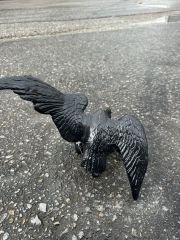Kartal-biblo kanatlı aksesuar kartallar