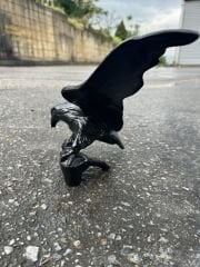 Kartal-biblo kanatlı aksesuar kartallar